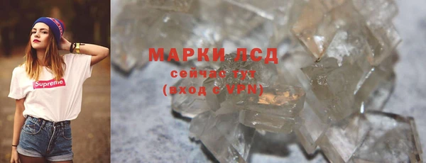 прущие грибы Пересвет