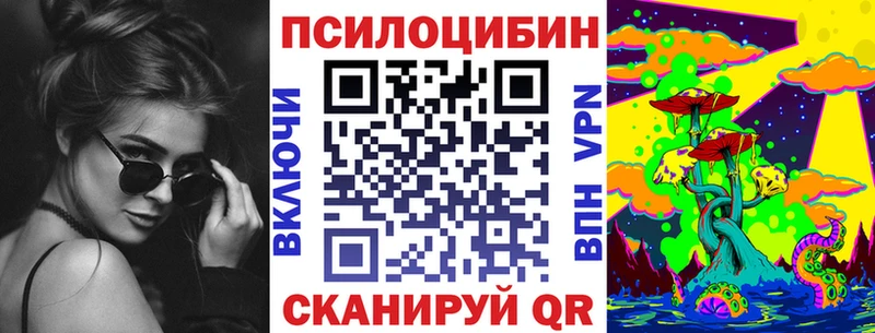 купить наркотики цена  Бежецк  Галлюциногенные грибы Psilocybine cubensis 